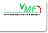 VMFLeipzigPPT VMFLeipzigPPT